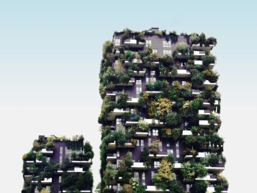 <b>BUS-GoCircular</b><br>Stimulate demand for sustainable energy skills with circularity as a driver and multifunctional green use of roofs, façades and interior elements as focus