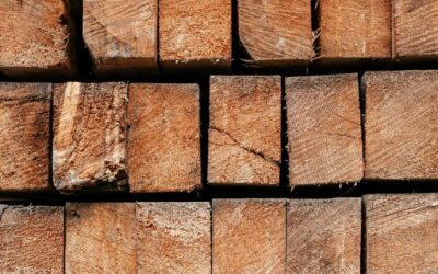 El Catálogo de Materiales para la Descarbonización de la Construcción: Una guía esencial para el futuro sostenible